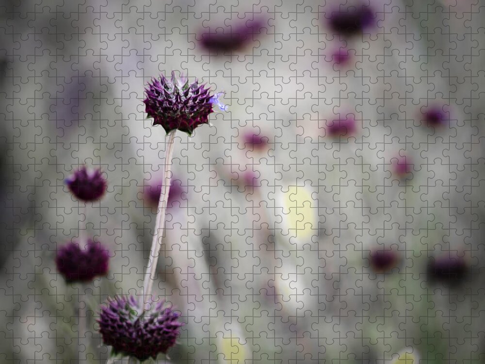 Wildflower Jigsaw Puzzle featuring the photograph Visualization by Tamara Becker