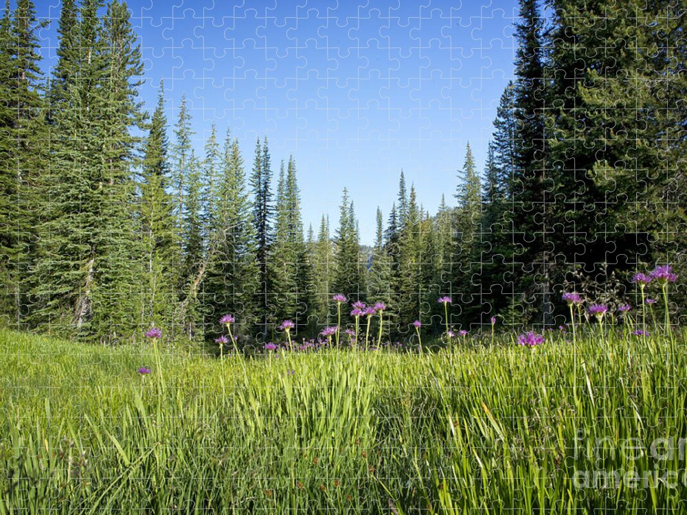 Wallowa Jigsaw Puzzle featuring the photograph Wallowas No. 6 by Belinda Greb