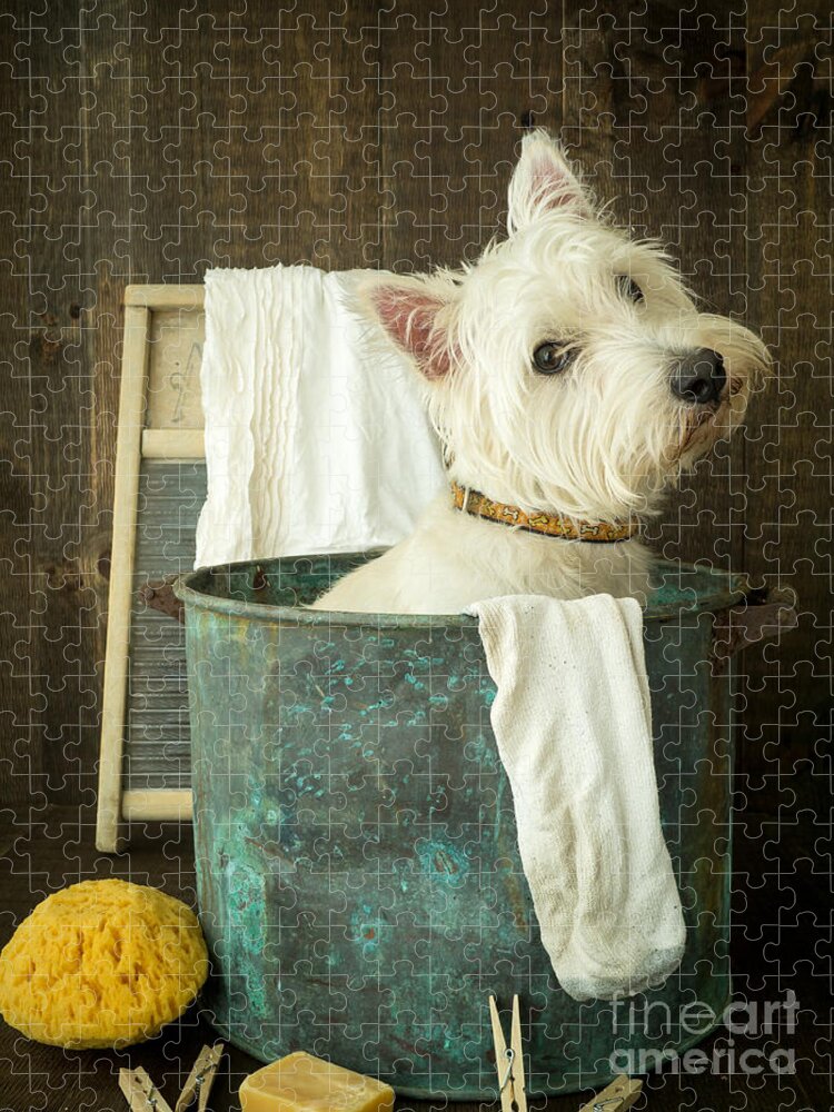 Dog Jigsaw Puzzle featuring the photograph Wash Day by Edward Fielding