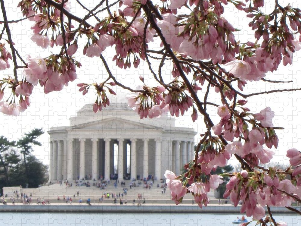 Washington Jigsaw Puzzle featuring the photograph Washington DC in Bloom by Jennifer Wheatley Wolf