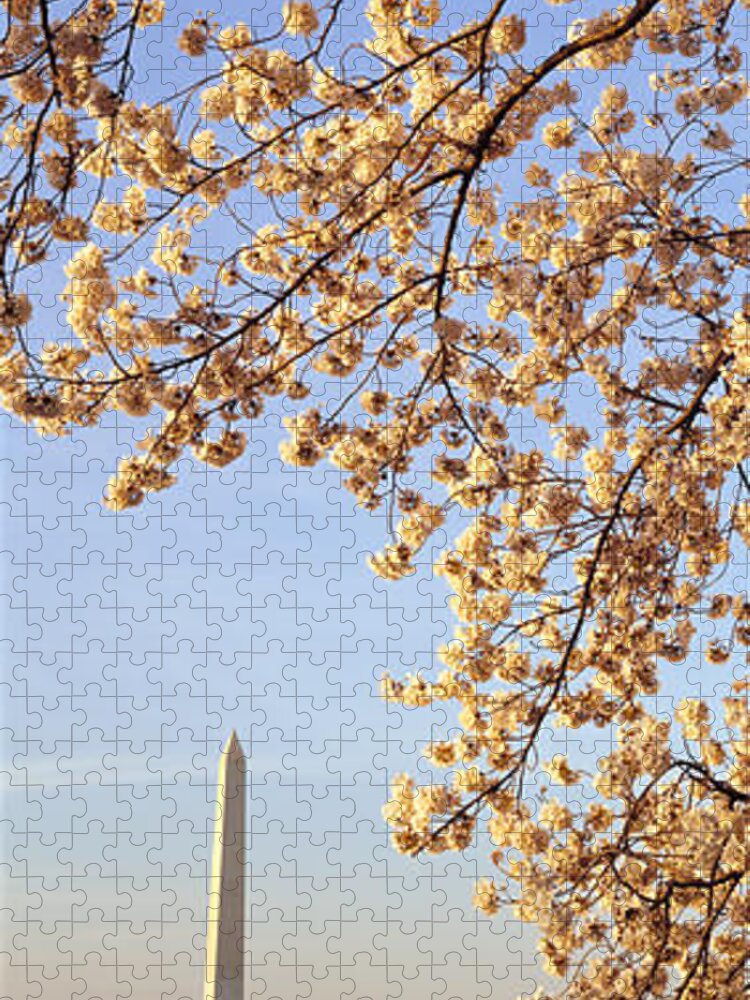 Photography Jigsaw Puzzle featuring the photograph Washington Dc Usa by Panoramic Images