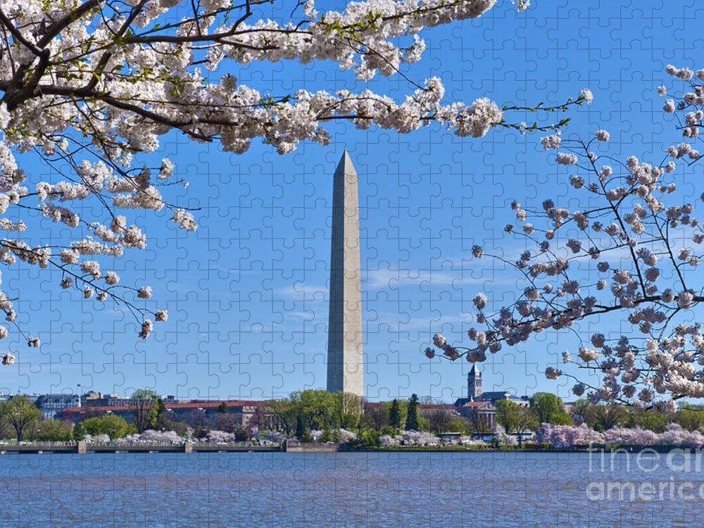 Washington Monument Jigsaw Puzzle featuring the photograph Washington Monument Spring Cherry Blossom trees Full Bloom Tidal Basin by David Zanzinger