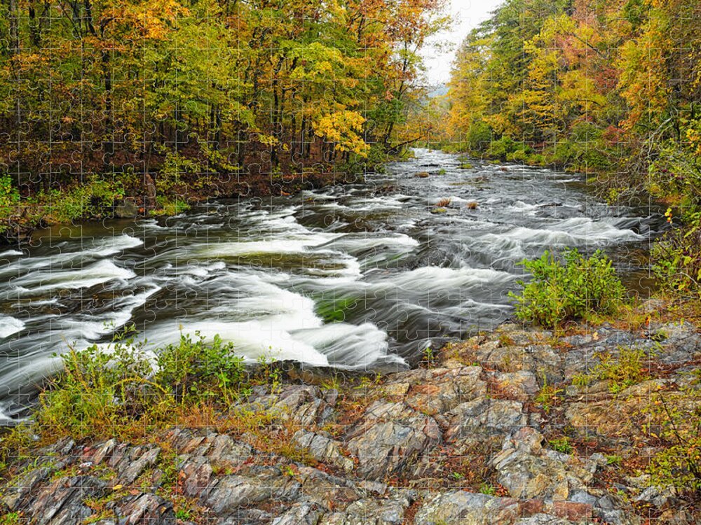 Beaver's Bend State Park Jigsaw Puzzle featuring the photograph Watching it all go by at Beaver's Bend Broken Bow Fall Foliage Oklahoma by Silvio Ligutti