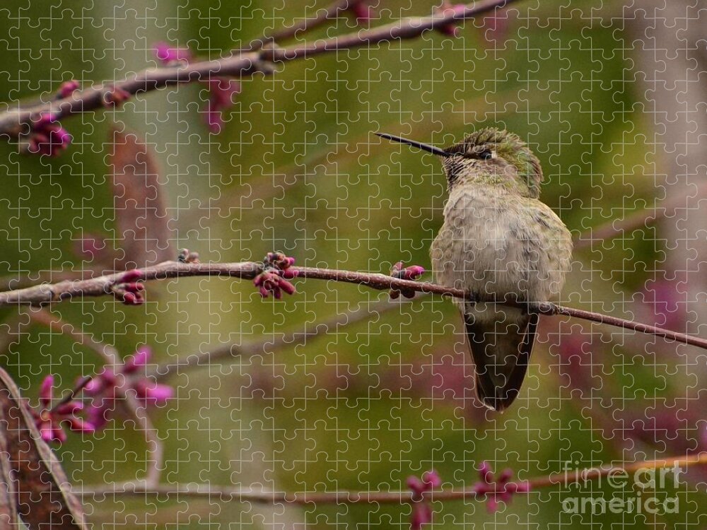 Bird Jigsaw Puzzle featuring the photograph Watching Spring Arrive by Debby Pueschel