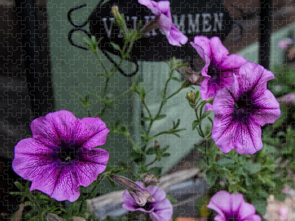 Flower Jigsaw Puzzle featuring the photograph Welcome by Leif Sohlman