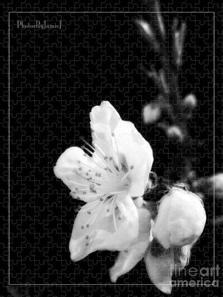 Wenatchee Jigsaw Puzzle featuring the photograph Wenatchee Blossom by Jamie Johnson