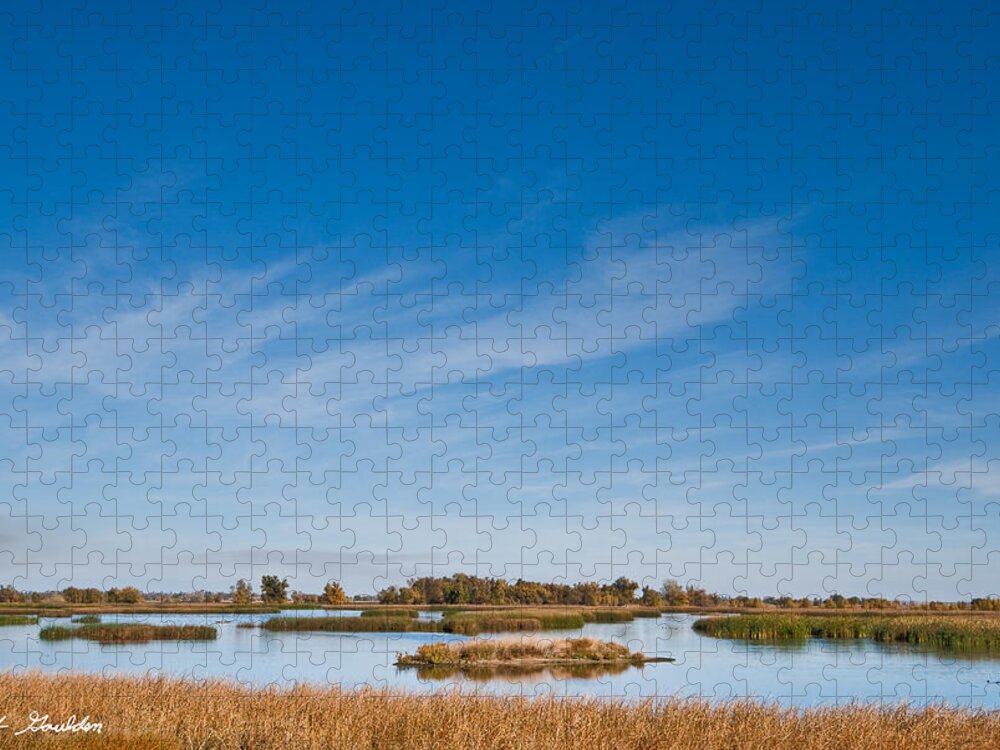 Autumn Jigsaw Puzzle featuring the photograph Wetland at the Refuge by Jeff Goulden