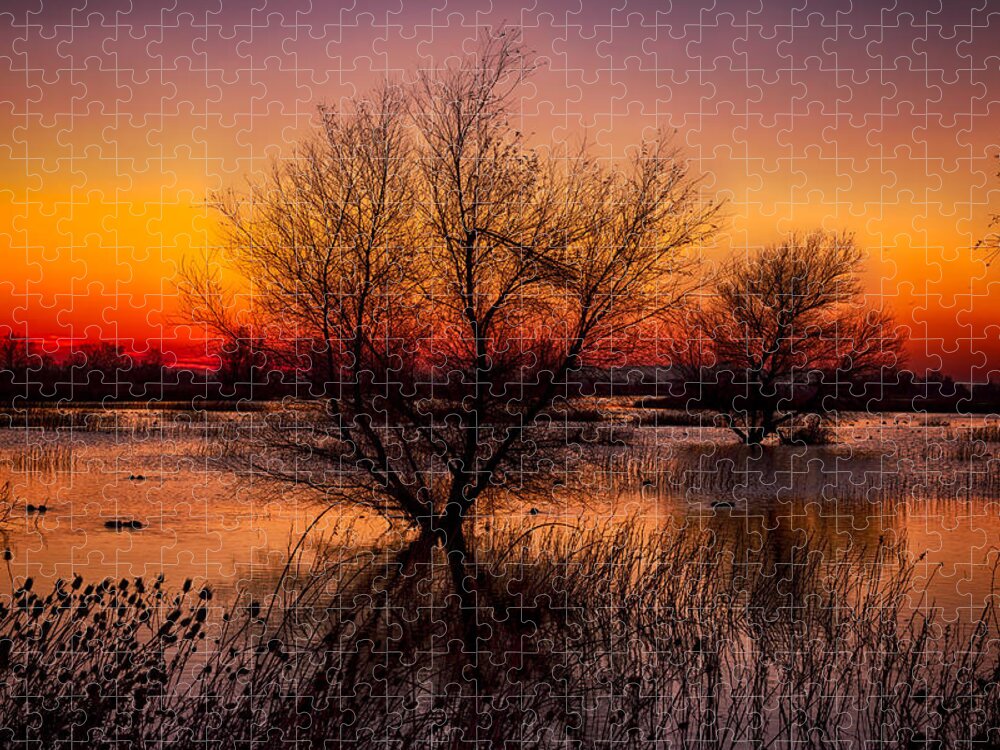 Dawn Jigsaw Puzzle featuring the photograph Wetlands Dawn by Kathleen Bishop