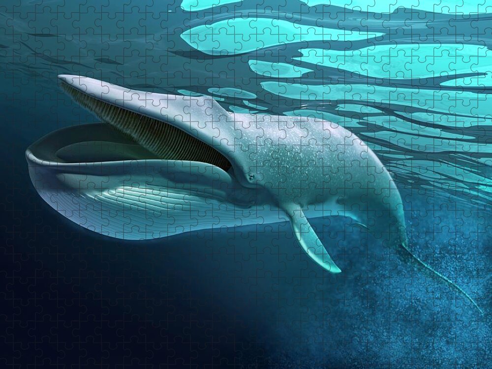Underwater Jigsaw Puzzle featuring the digital art Whale, Artwork by Leonello Calvetti