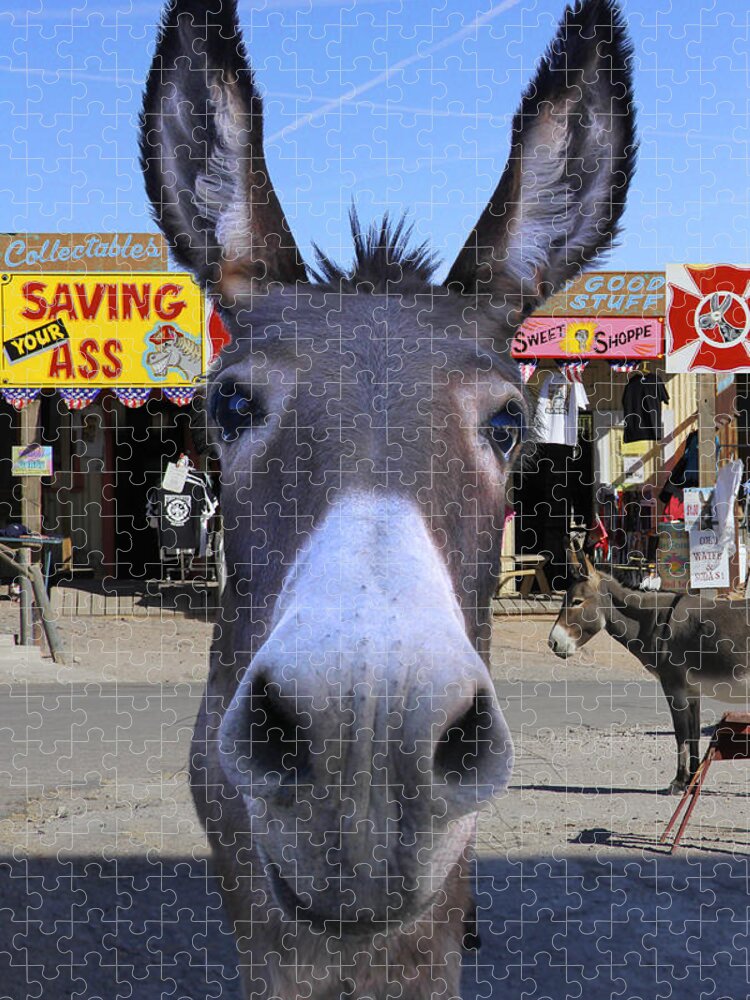 Donkey Jigsaw Puzzle featuring the photograph What . . . No Carrots by Mike McGlothlen