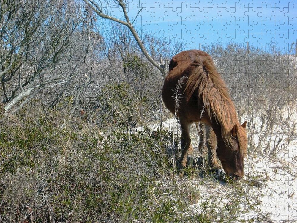 Horse Jigsaw Puzzle featuring the photograph What do I see here? by Photographic Arts And Design Studio