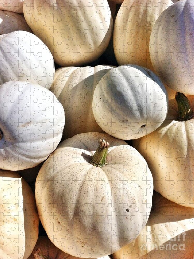 White Pumpkins Jigsaw Puzzle featuring the photograph What Ghost Pumpkins by Susan Garren