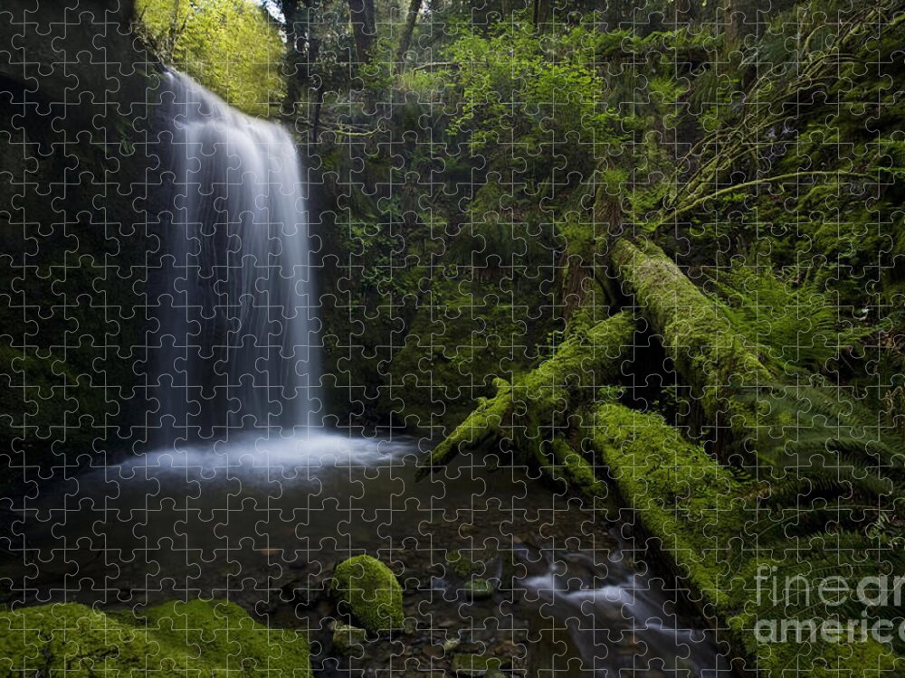Waterfall Jigsaw Puzzle featuring the photograph Whatcom Falls Serenity by Mike Reid