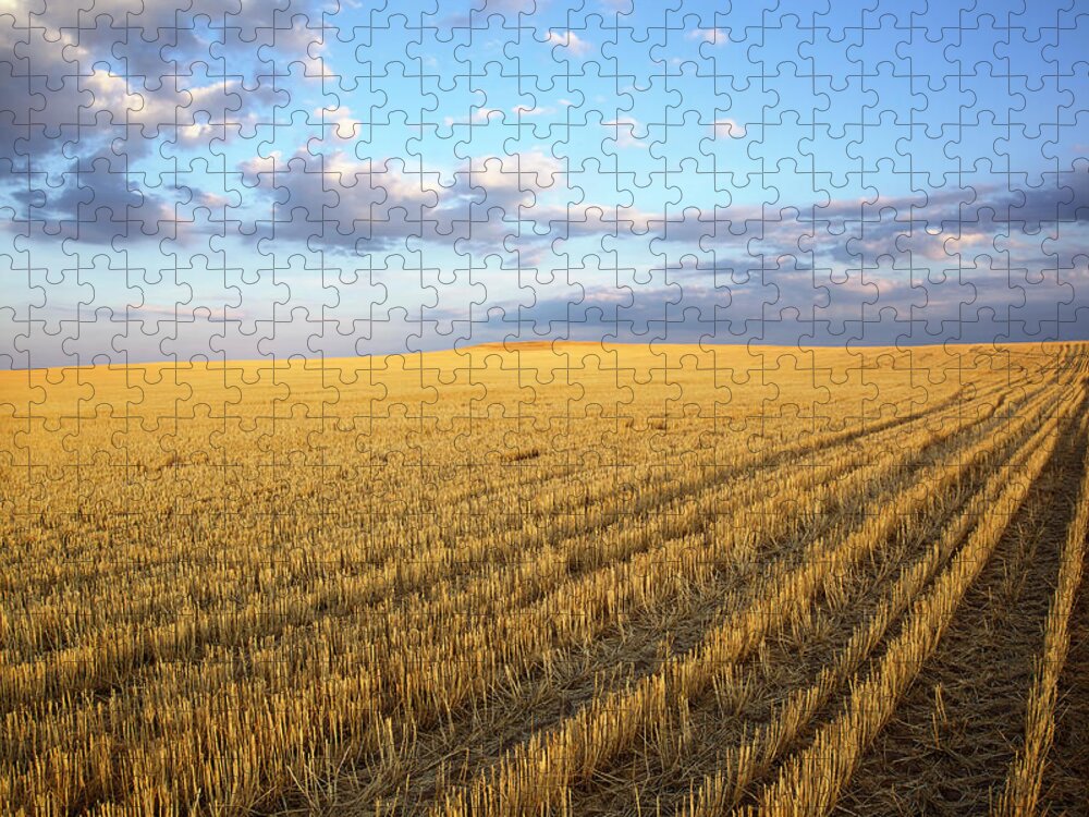 Scenics Jigsaw Puzzle featuring the photograph Wheat Fields And Clouds by Beklaus