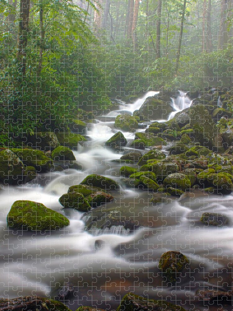 Art Prints Jigsaw Puzzle featuring the photograph Where the River Flows by Nunweiler Photography