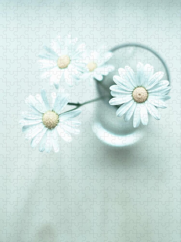Vase Jigsaw Puzzle featuring the photograph White Daisies In Vase by Steven Errico
