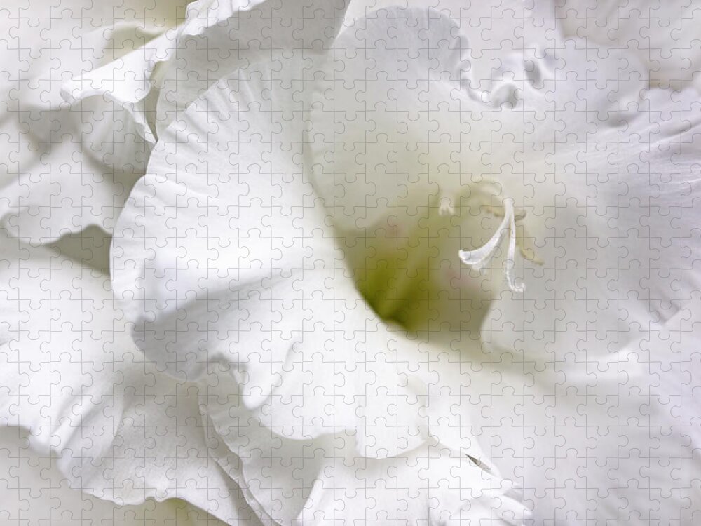 Gladiola Jigsaw Puzzle featuring the photograph White Gladiola Flower Brilliance by Jennie Marie Schell
