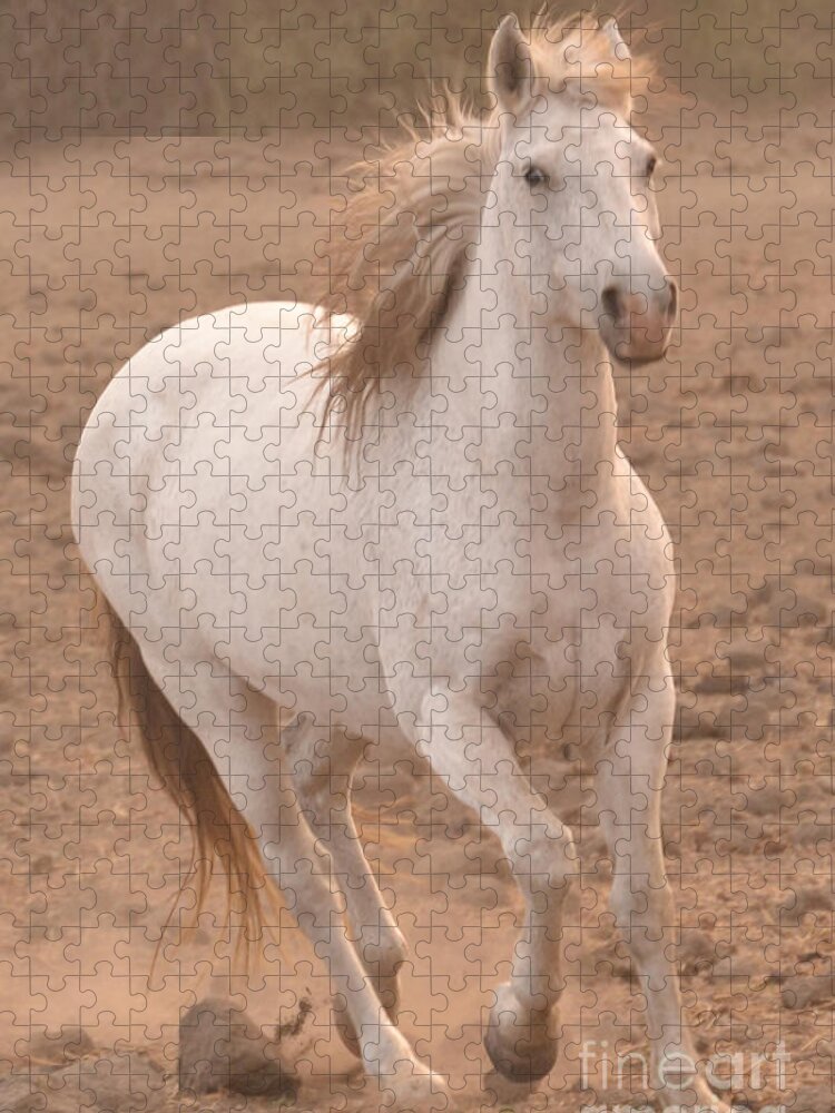 Rtf Ranch Jigsaw Puzzle featuring the photograph White Mare Approaches Number One Close Up Muted by Heather Kirk