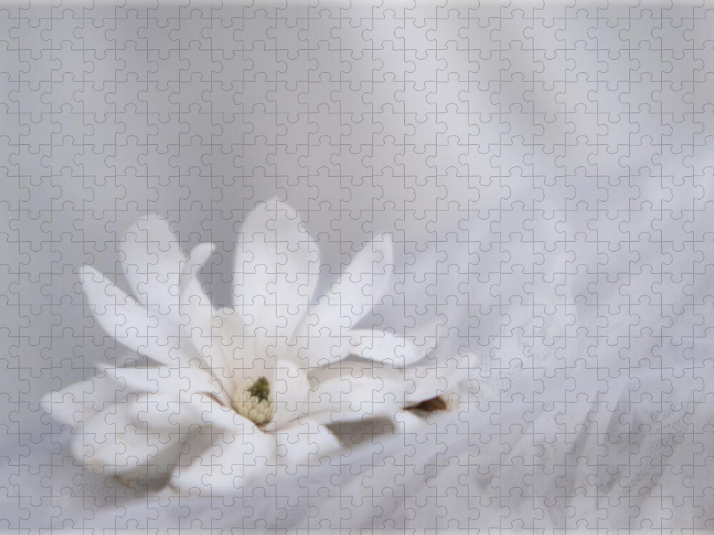 Magnolias Jigsaw Puzzle featuring the photograph White by Stephanie Hollingsworth