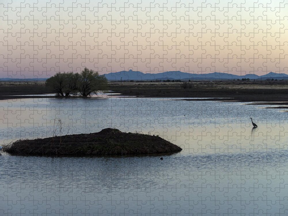 Nature Jigsaw Puzzle featuring the photograph Whitewater Draw, Az by Mark Newman
