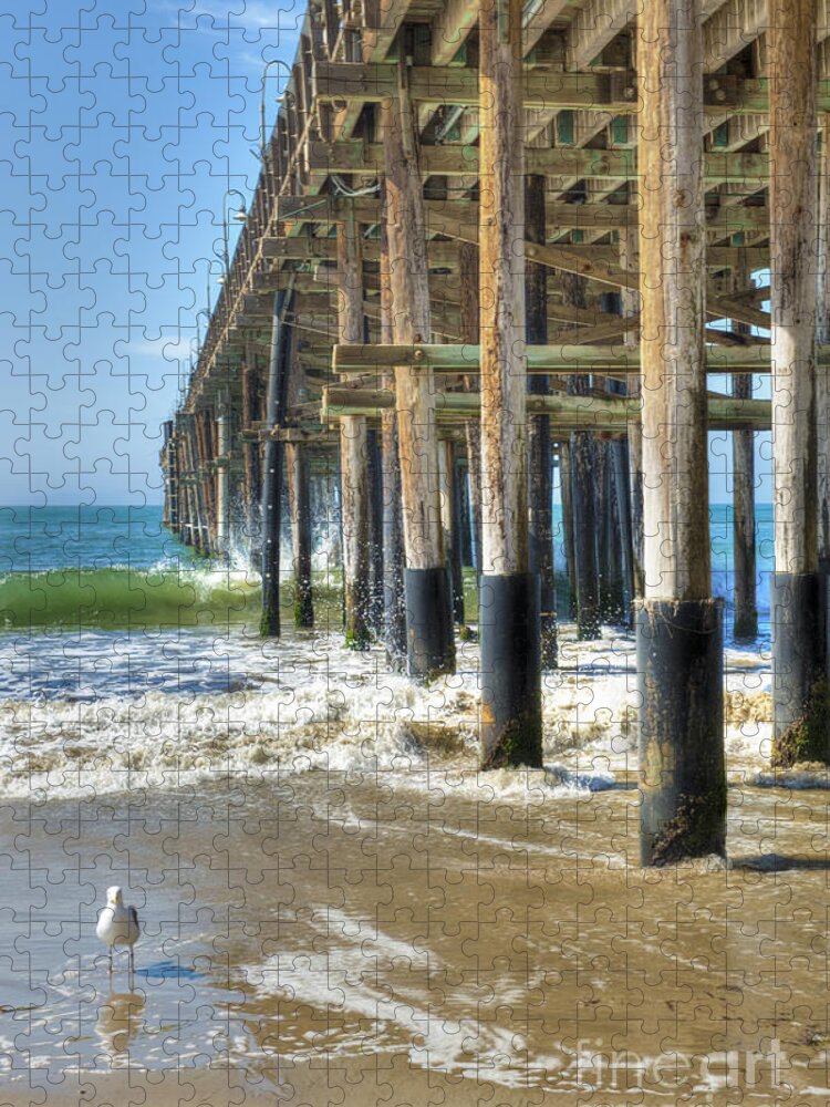 Ventura Ca. By The Sea Jigsaw Puzzle featuring the photograph Who are you looking at by David Zanzinger
