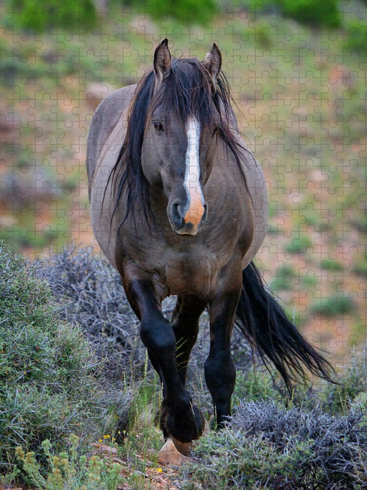 Wild Horse Jigsaw Puzzle featuring the photograph Wild Stallion by Greg Norrell
