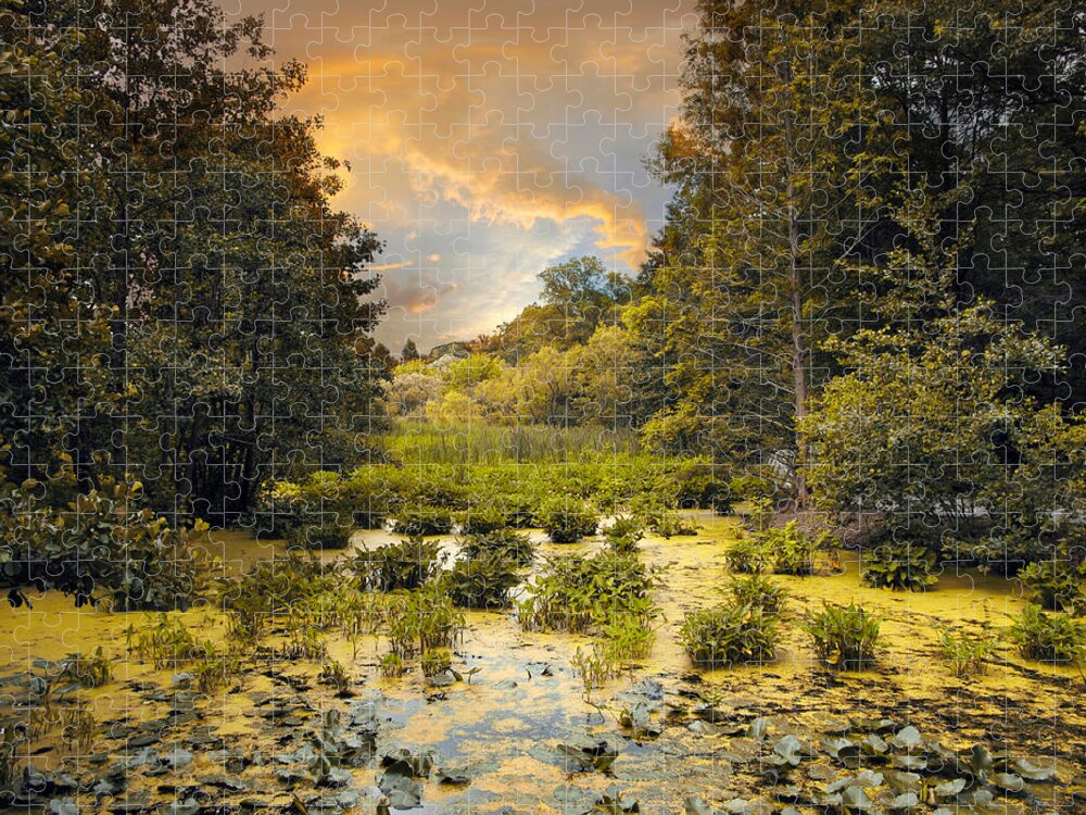 Nature Jigsaw Puzzle featuring the photograph Wild Wetlands by Jessica Jenney
