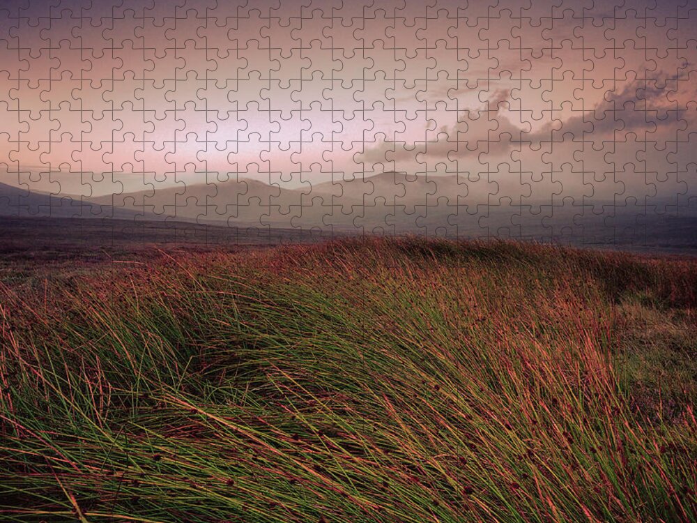 Tranquility Jigsaw Puzzle featuring the photograph Wilderness Dawn by Black Hill Images
