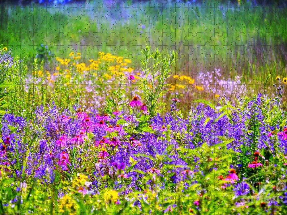 Wildflower Gardens Jigsaw Puzzle featuring the photograph Wildflower Beauty by Peggy Franz