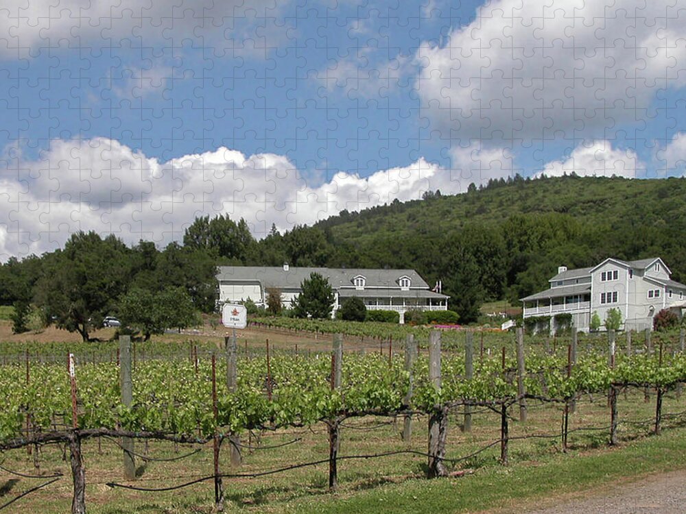 Guy Whiteley Jigsaw Puzzle featuring the photograph Wine Country by Guy Whiteley