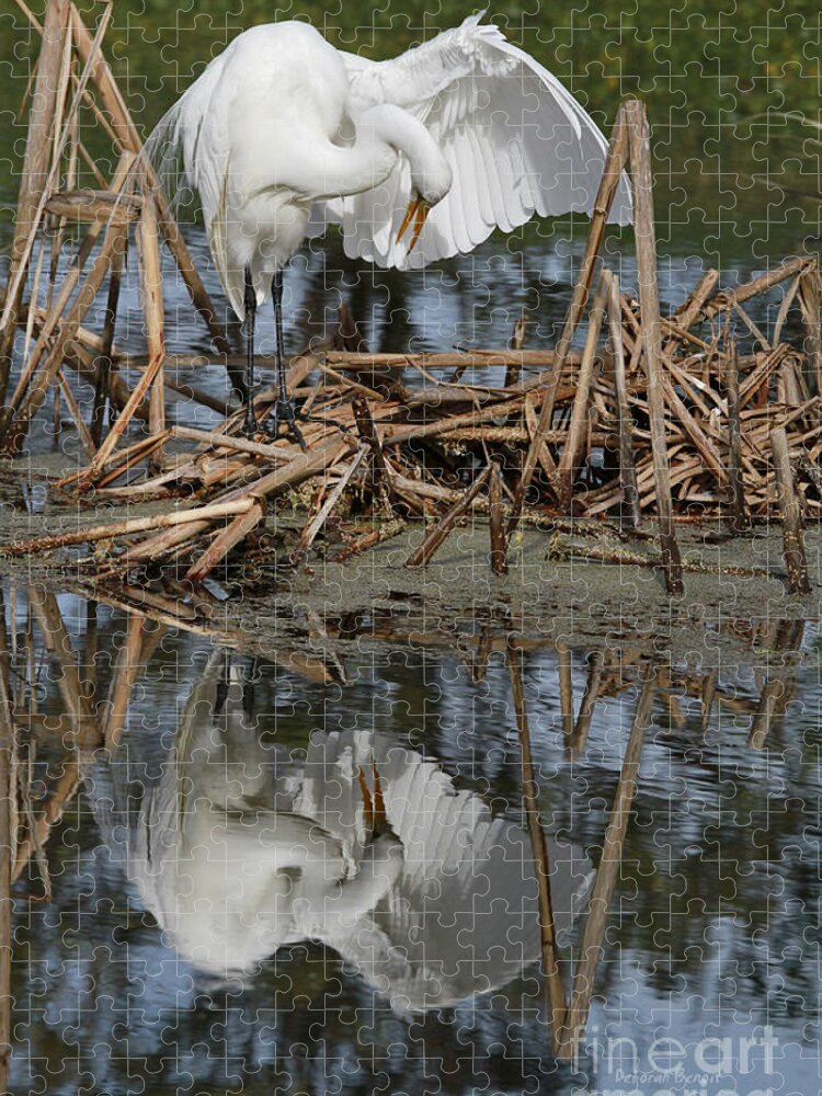 Egret Jigsaw Puzzle featuring the photograph Wing Up Reflection by Deborah Benoit
