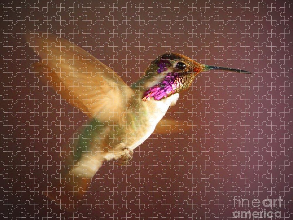 Hummingbirds Jigsaw Puzzle featuring the photograph Wings of Gold by Marcia Breznay