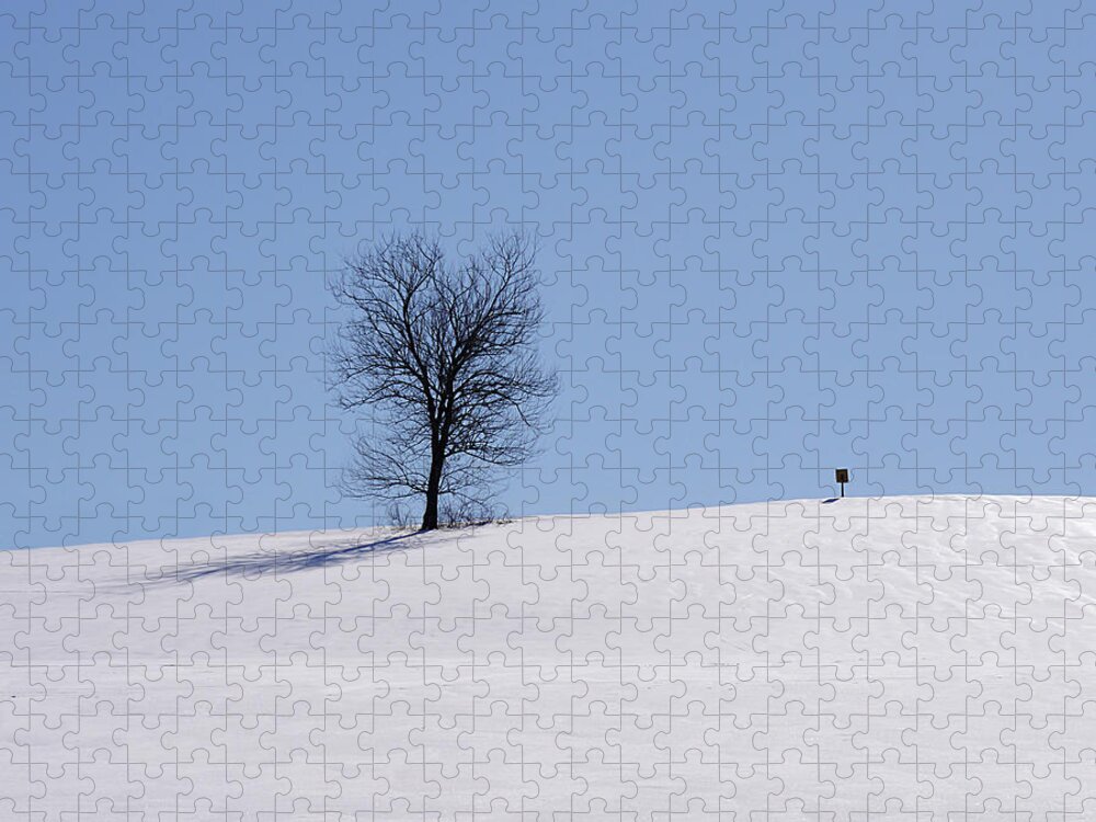 Winter Jigsaw Puzzle featuring the photograph Winter - Square Sign by Richard Reeve