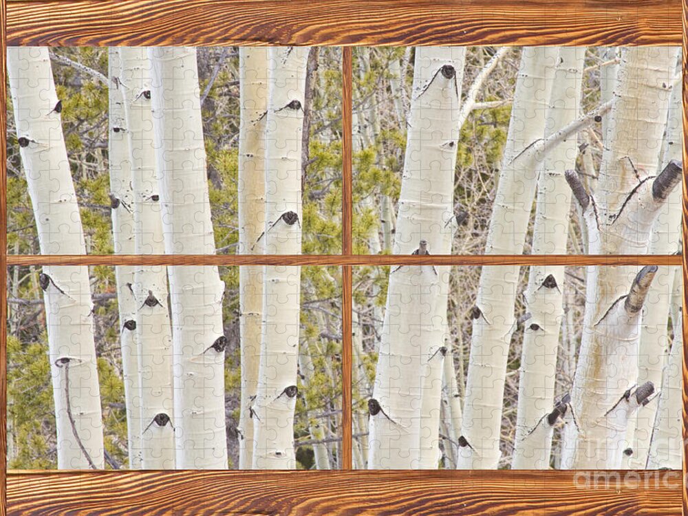 Trees Jigsaw Puzzle featuring the photograph Winter Aspen Tree Forest Barn Wood Picture Window Frame View by James BO Insogna