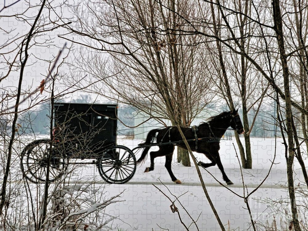 Winter Jigsaw Puzzle featuring the photograph Winter Buggy by David Arment
