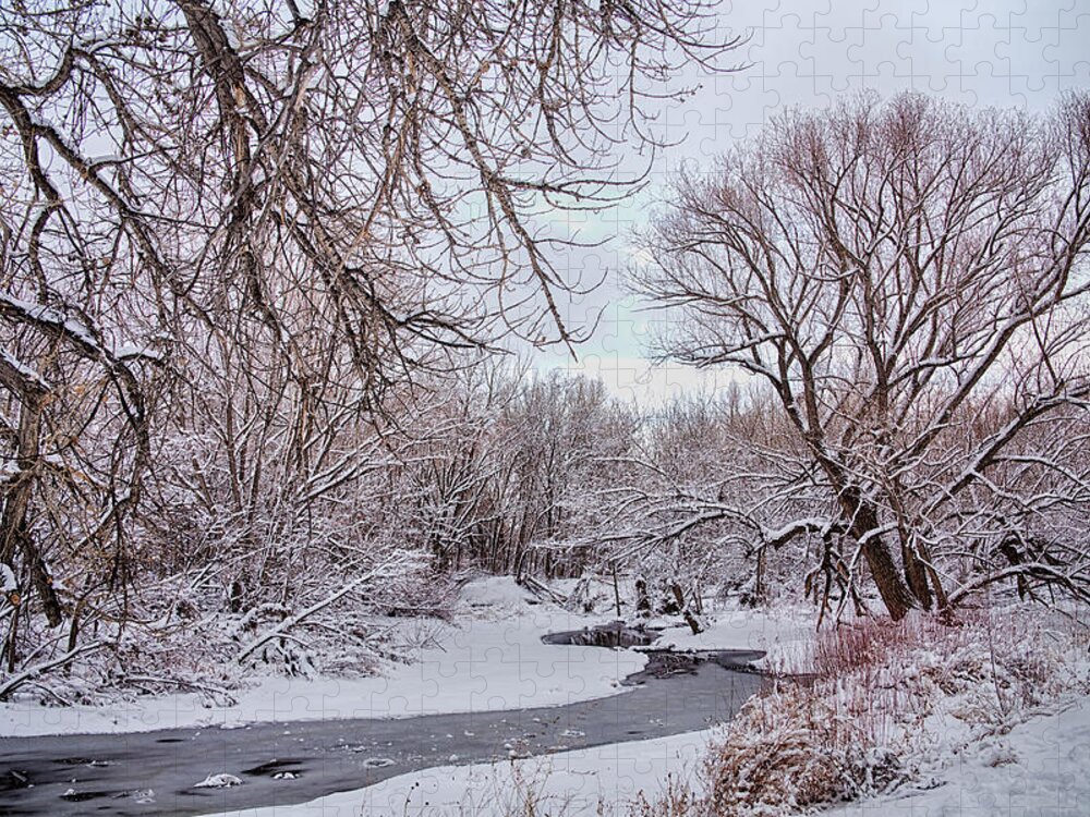 Winter Jigsaw Puzzle featuring the photograph Winter Creek by James BO Insogna
