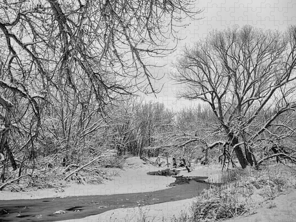 Winter Jigsaw Puzzle featuring the photograph Winter Creek in Black and White by James BO Insogna