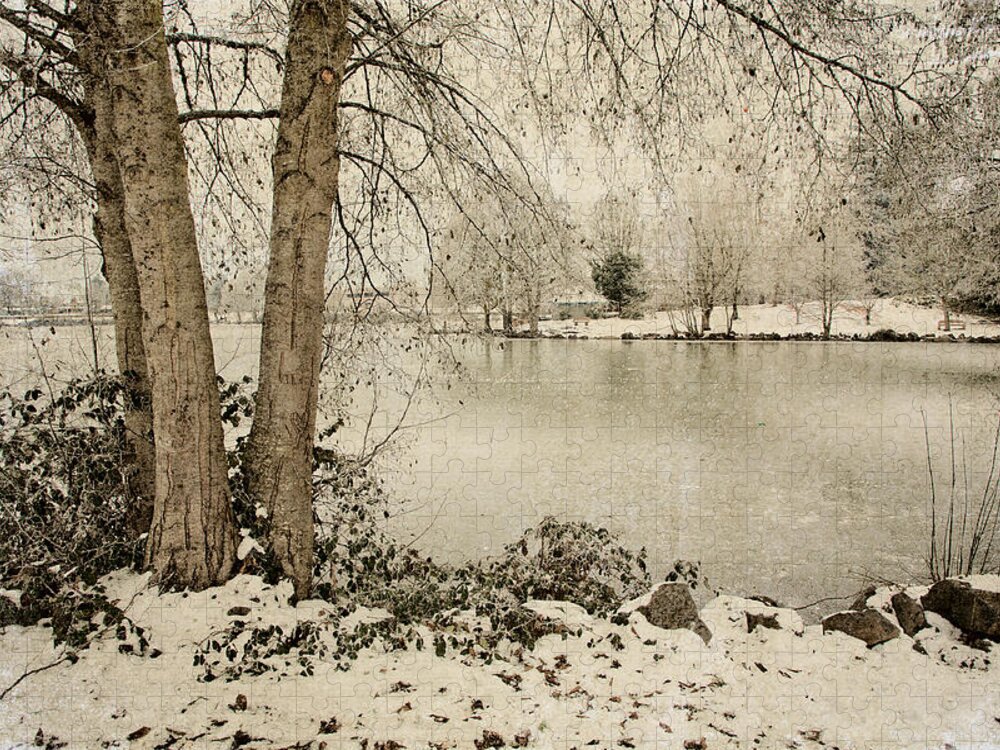 Winter Jigsaw Puzzle featuring the photograph Winter Freeze by Bonnie Bruno