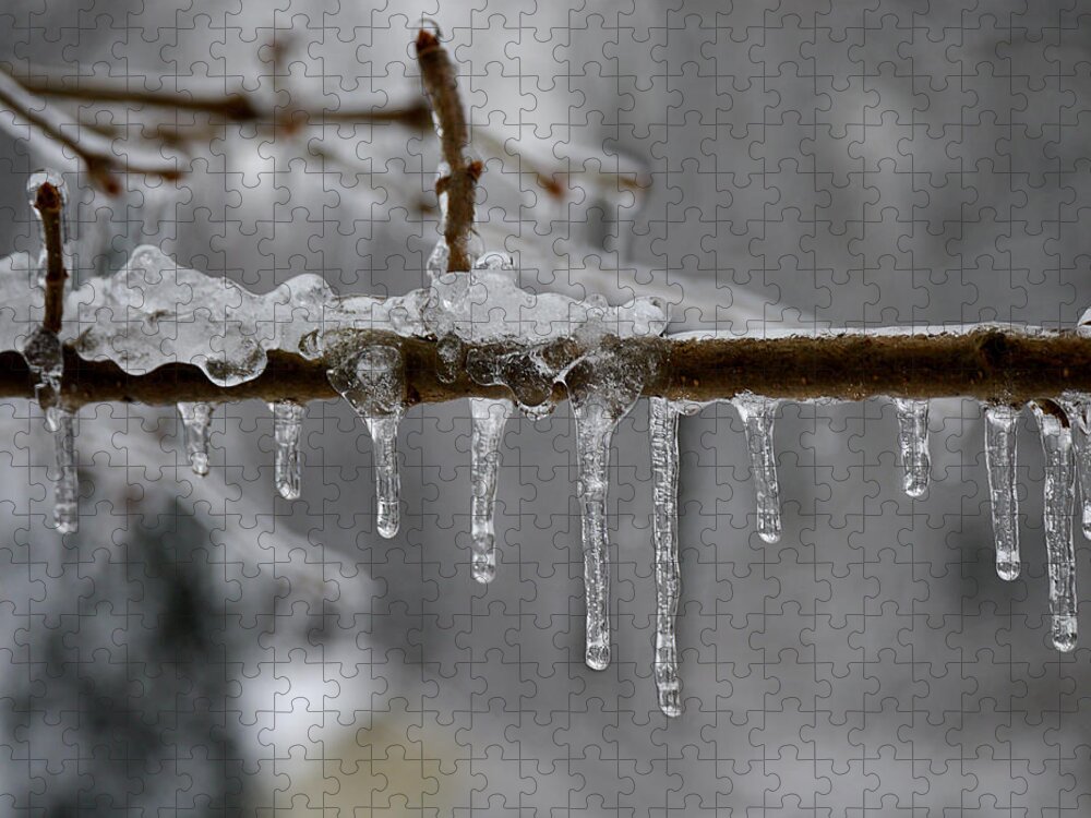 Winter Jigsaw Puzzle featuring the photograph Winter - Ice Drops by Richard Reeve