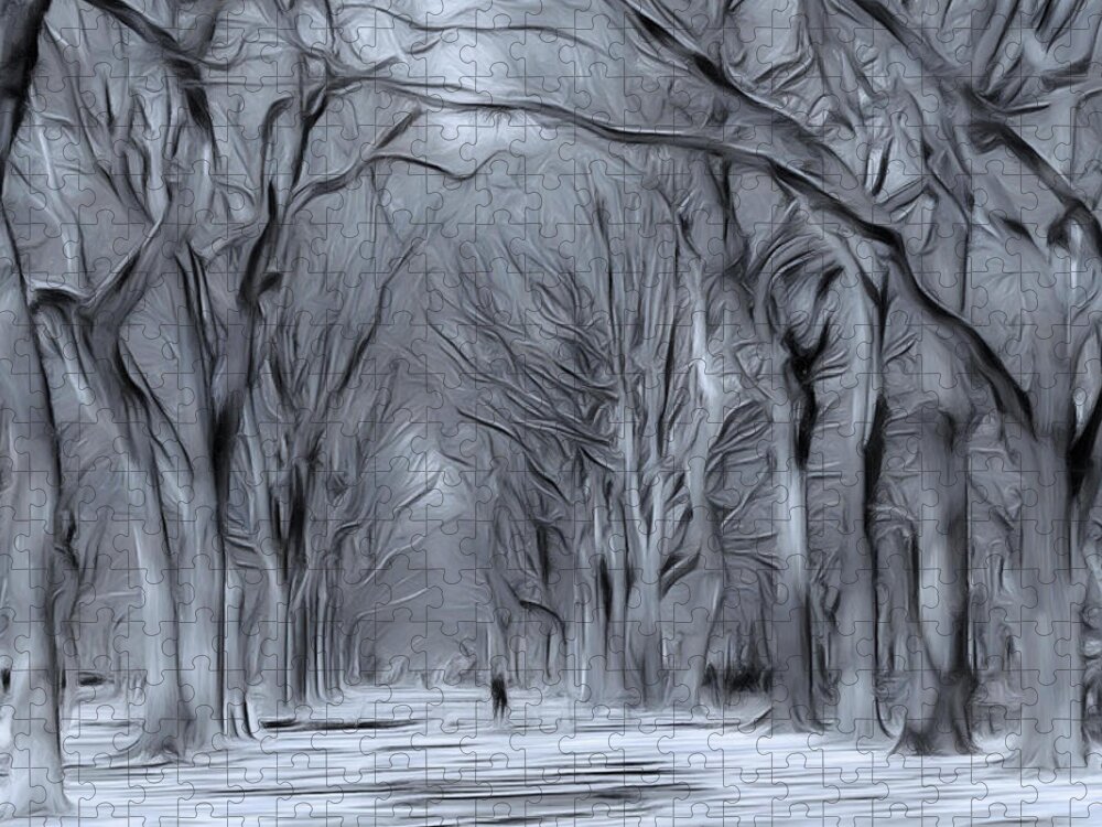 Central Park Jigsaw Puzzle featuring the digital art Winter in Central Park by Nina Bradica