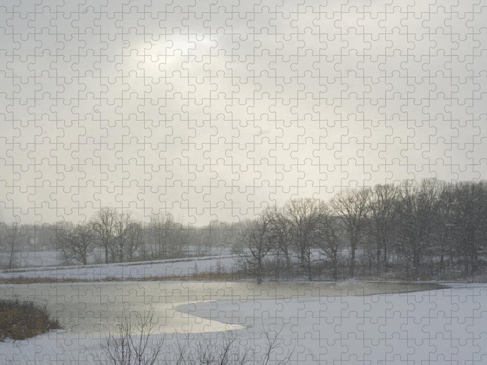 Scenic Jigsaw Puzzle featuring the photograph Winter Lake and Forest by Lynn Hansen