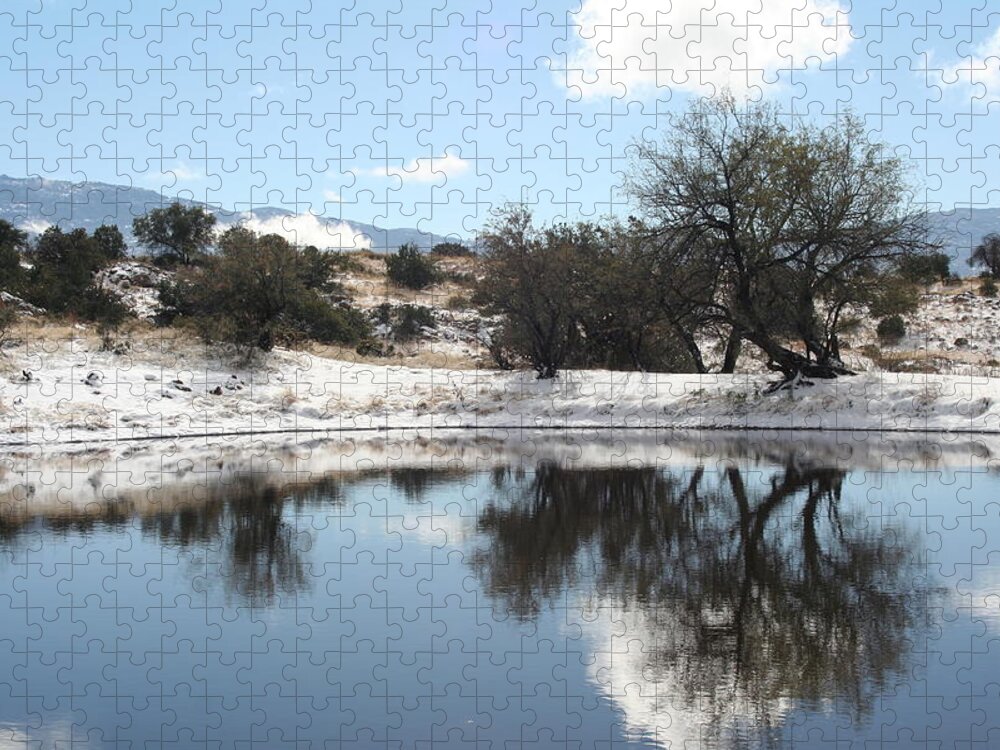 Snow Jigsaw Puzzle featuring the photograph Winter Reflections by David S Reynolds