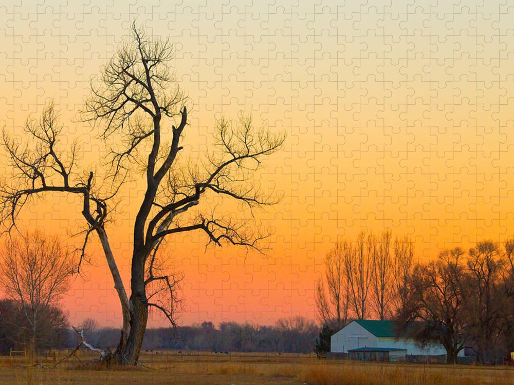 Tree Jigsaw Puzzle featuring the photograph Winter Season Country Sunset by James BO Insogna
