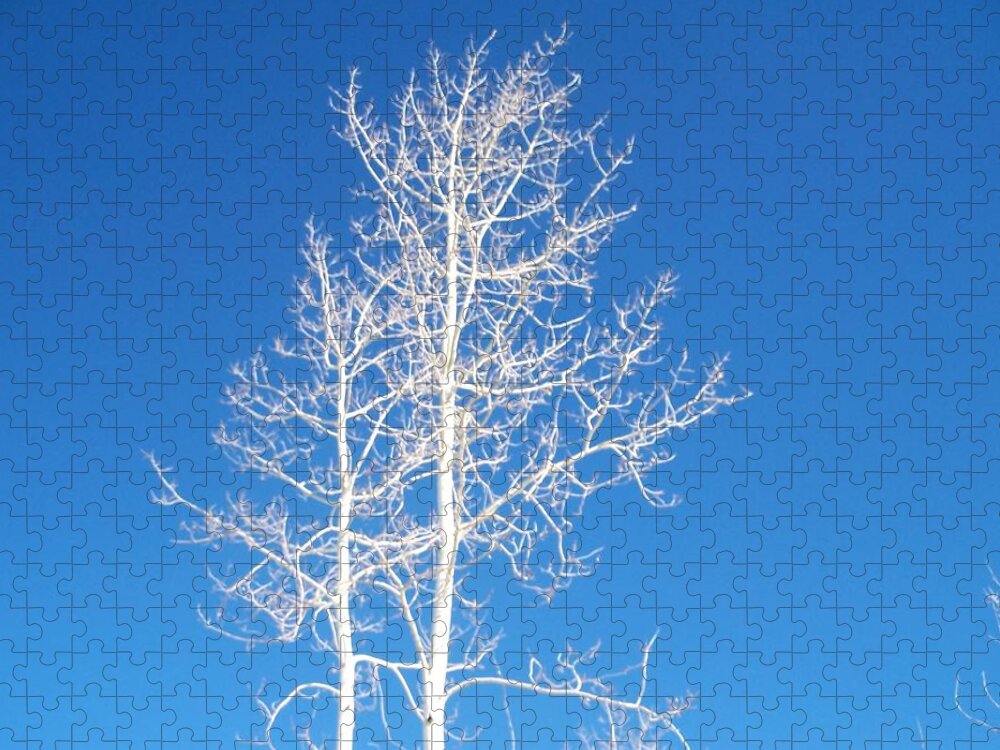 Sky Jigsaw Puzzle featuring the photograph Winter Sky by Claudia Goodell