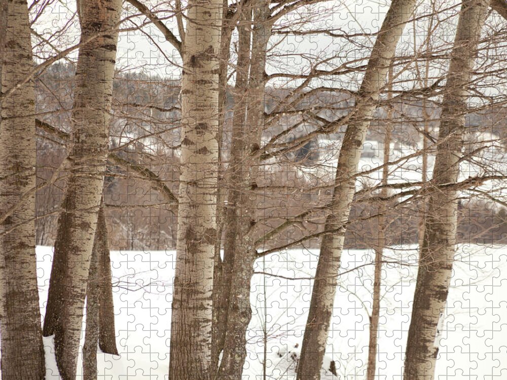 Scenics Jigsaw Puzzle featuring the photograph Winter Snow, Rochester, Vermont by Brian Yarvin