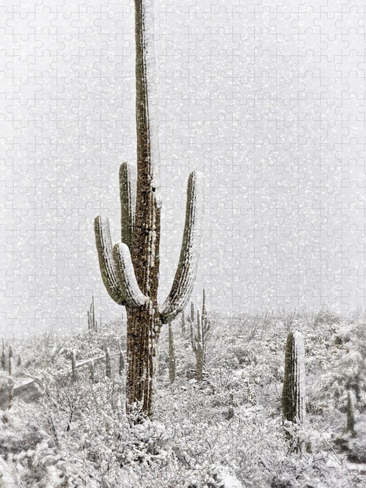 Arizona Jigsaw Puzzle featuring the photograph Winter Sonoran Style by Saija Lehtonen