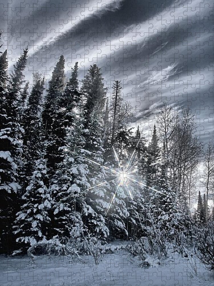 Star Jigsaw Puzzle featuring the photograph Winter Star by David Andersen