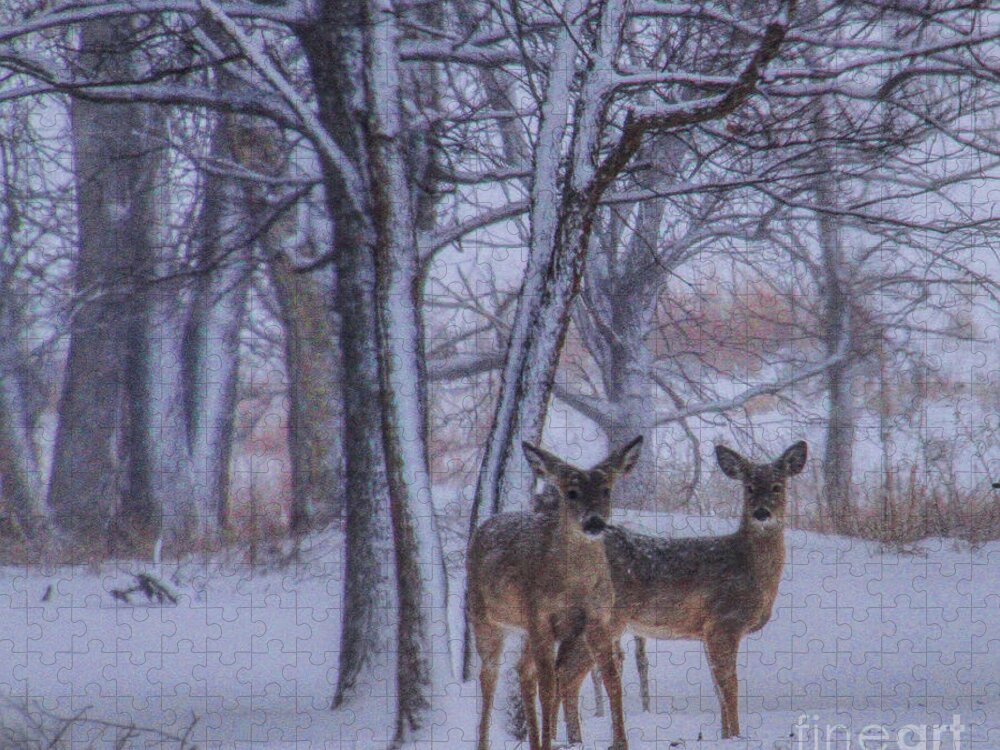 Deer Jigsaw Puzzle featuring the photograph Winter Survival by Elizabeth Winter