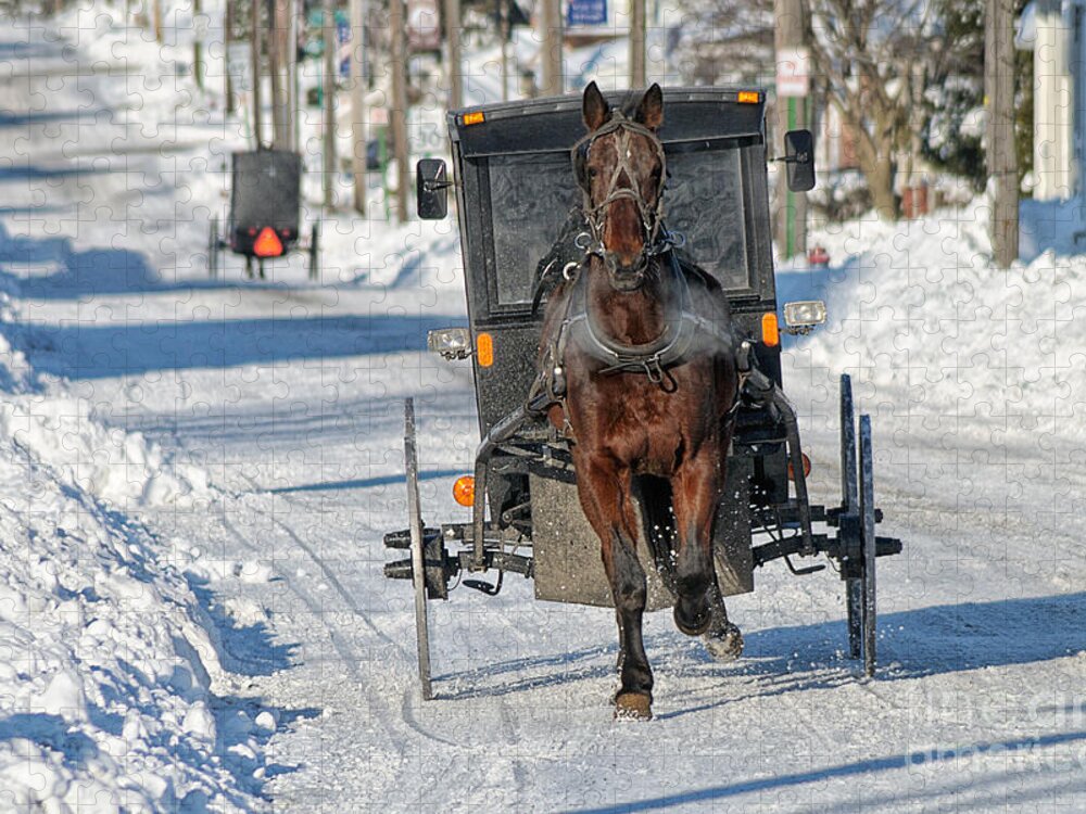 Horse Jigsaw Puzzle featuring the photograph Winter Travel by Craig Leaper