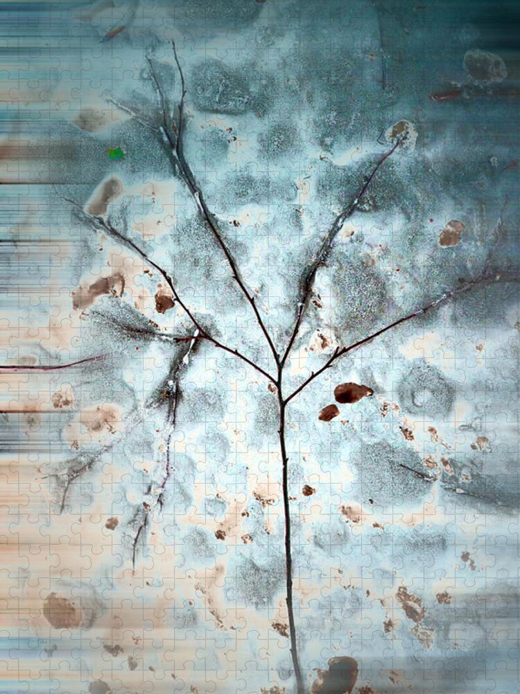 Tree Jigsaw Puzzle featuring the photograph Winter Tree Abstract by Beth Venner